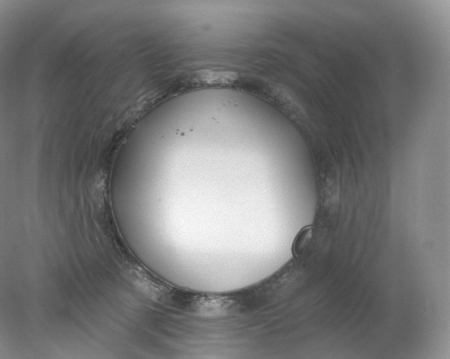 X0000078310321200611172221