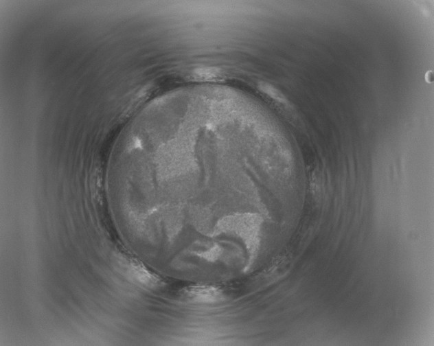 X0000078310322200611172221