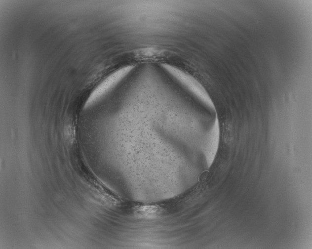 X0000078310324200611172221