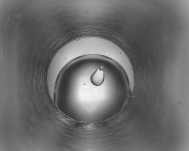 X0000078310325200611172221