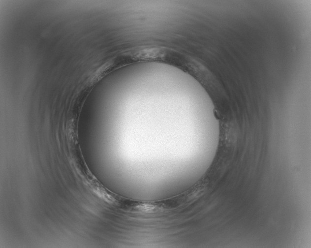 X0000078310326200611172221