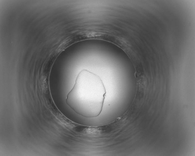 X0000078310327200611172221