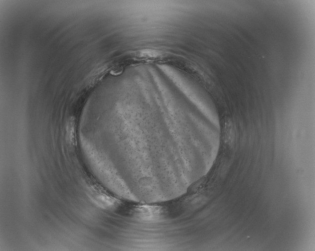 X0000078310328200611172221