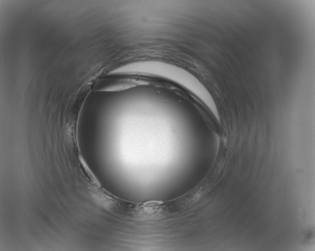 X0000078310329200611172221