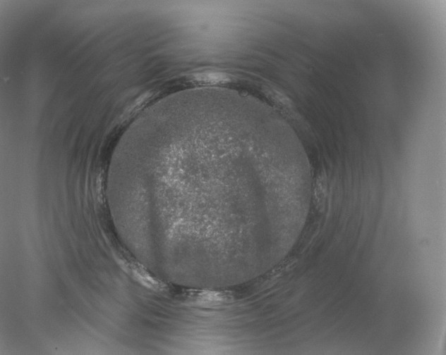 X0000078310330200611172221