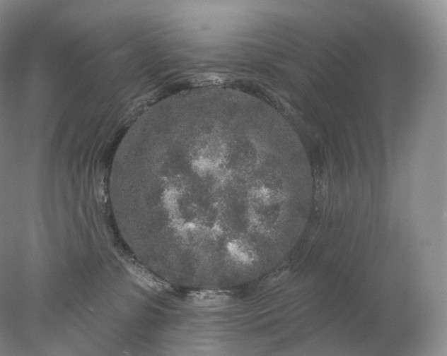 X0000078310331200611172221