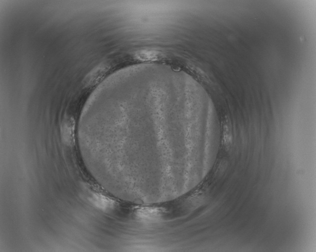 X0000078310332200611172221