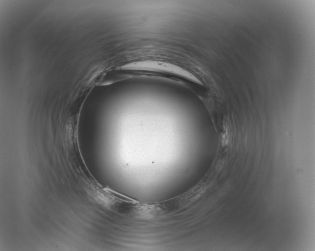 X0000078310333200611172221