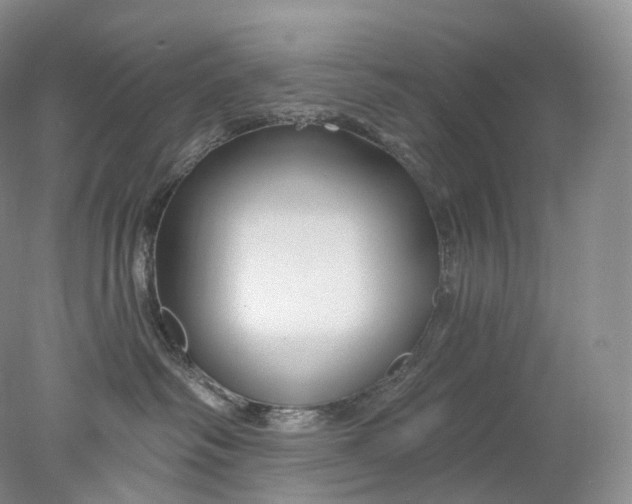 X0000078310334200611172221