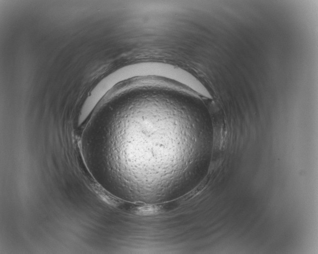 X0000078310335200611172221