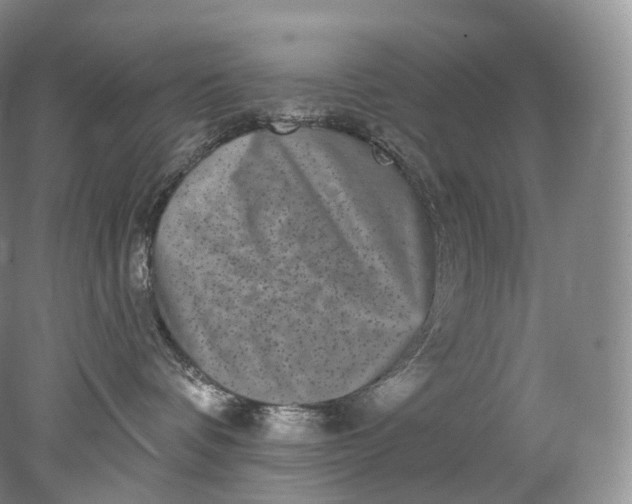 X0000078310336200611172221