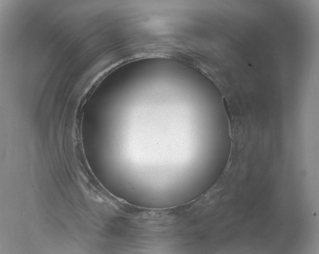 X0000078310338200611172220