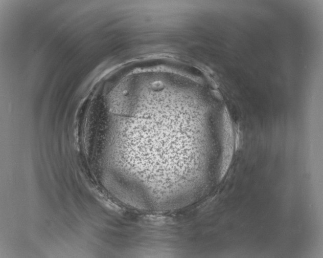 X0000078310339200611172220