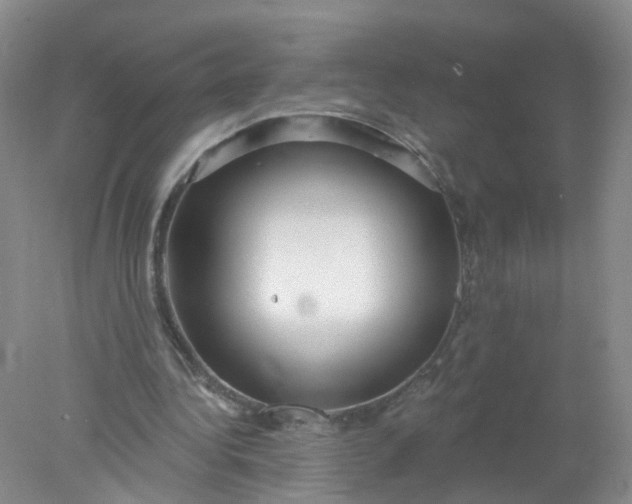 X0000078310340200611172220