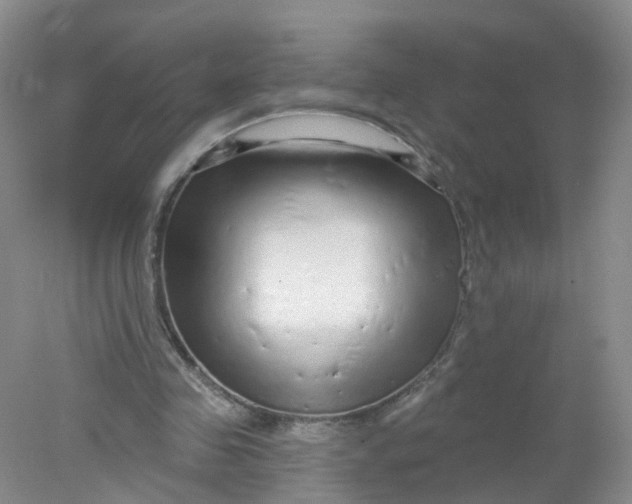 X0000078310341200611172220