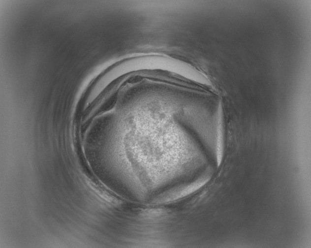 X0000078310342200611172220