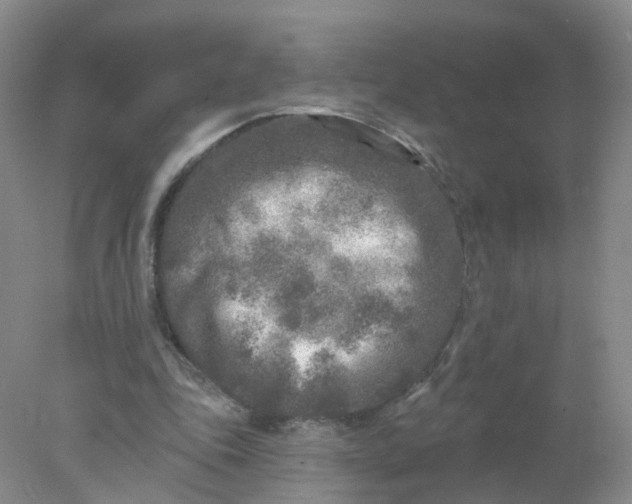 X0000078310343200611172220