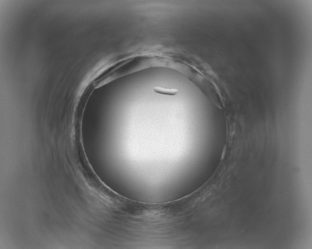 X0000078310344200611172220