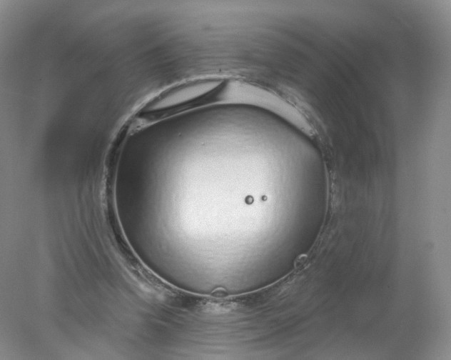 X0000078310346200611172220