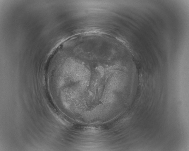 X0000078310347200611172220