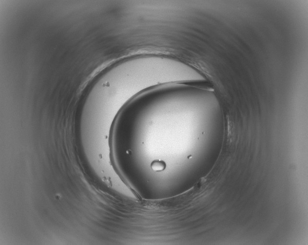 X0000078310348200611172220