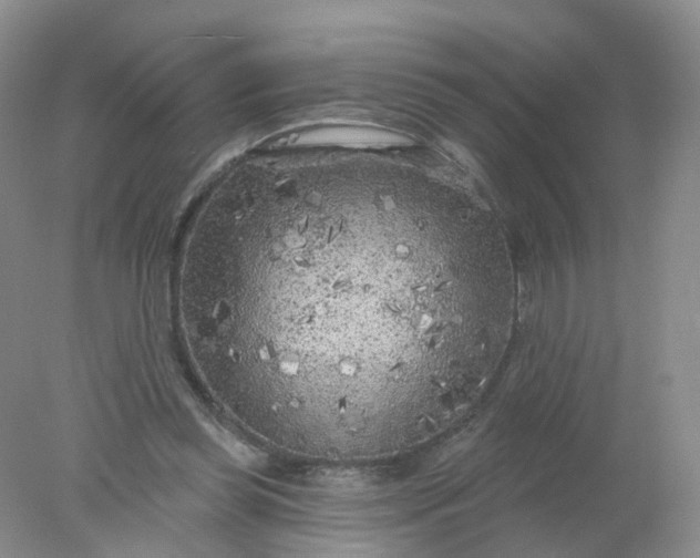 X0000078310349200611172220