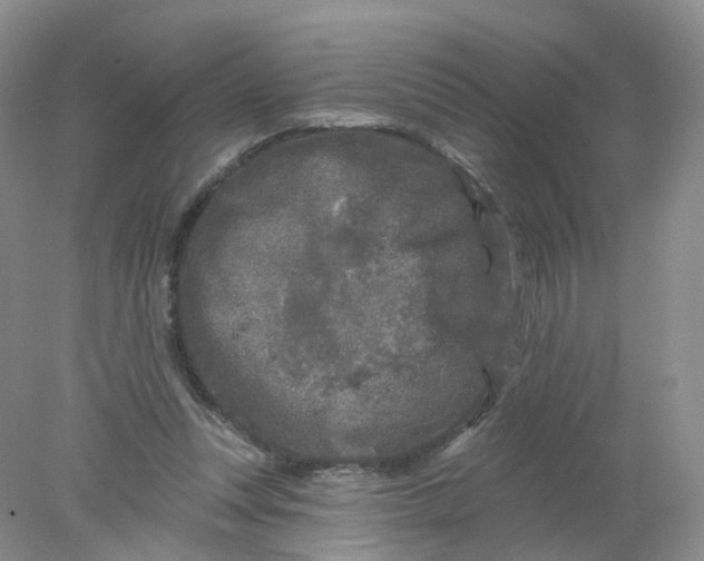 X0000078310351200611172220