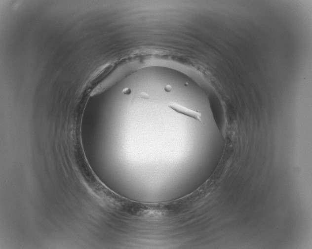 X0000078310352200611172220