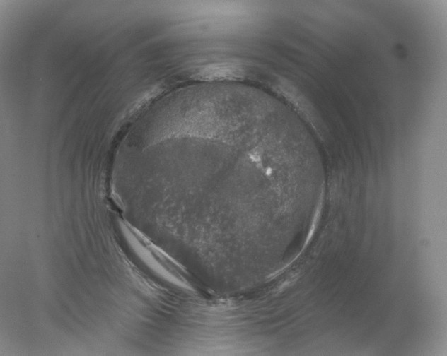 X0000078310353200611172221