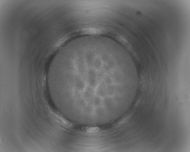 X0000078310355200611172221