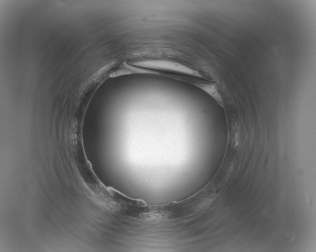 X0000078310356200611172221