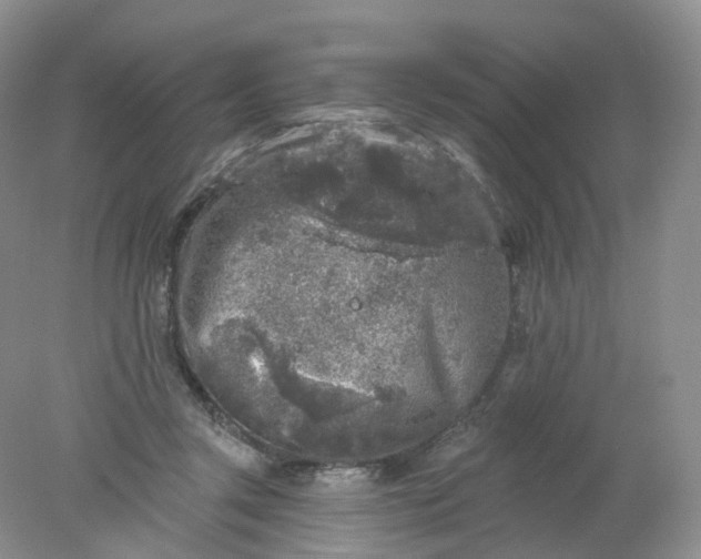 X0000078310357200611172221