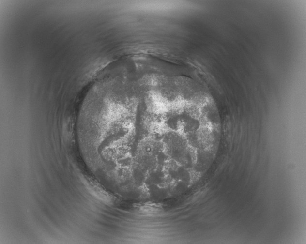 X0000078310359200611172221