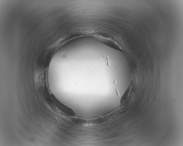 X0000078310360200611172221