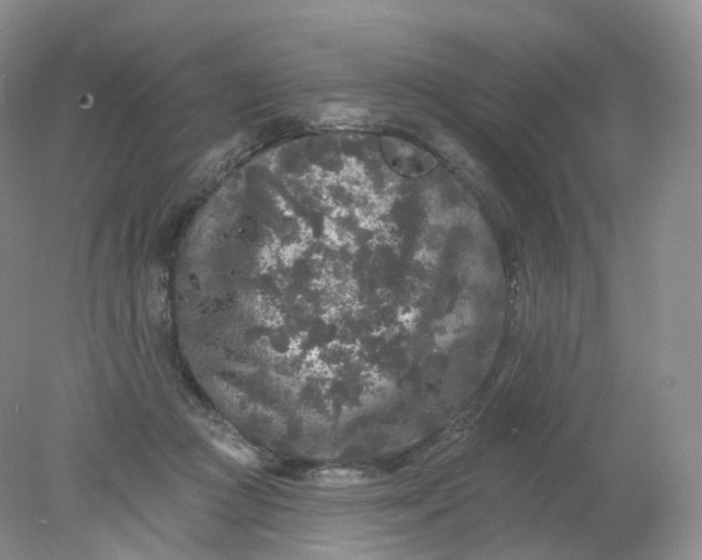 X0000078310361200611172221