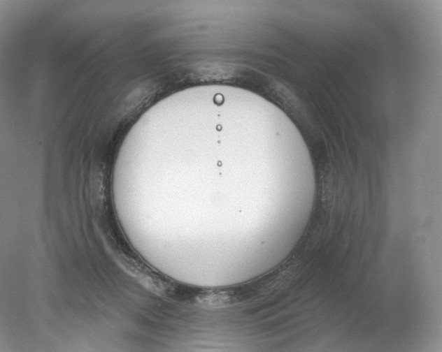 X0000078310362200611172221