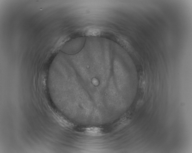 X0000078310363200611172221