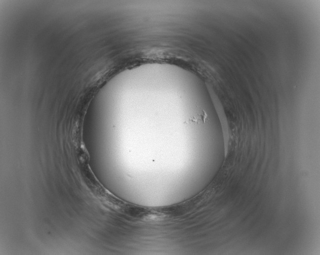 X0000078310364200611172221