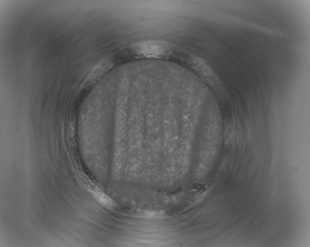 X0000078310365200611172221