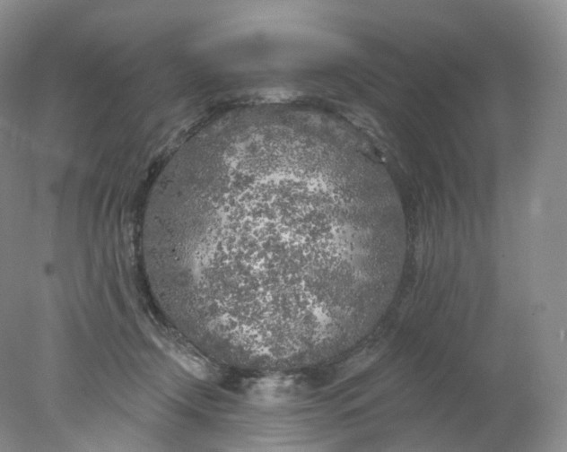 X0000078310366200611172221