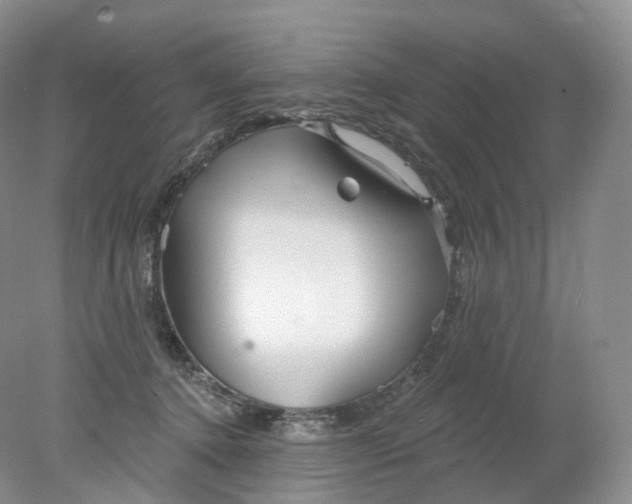 X0000078310368200611172221