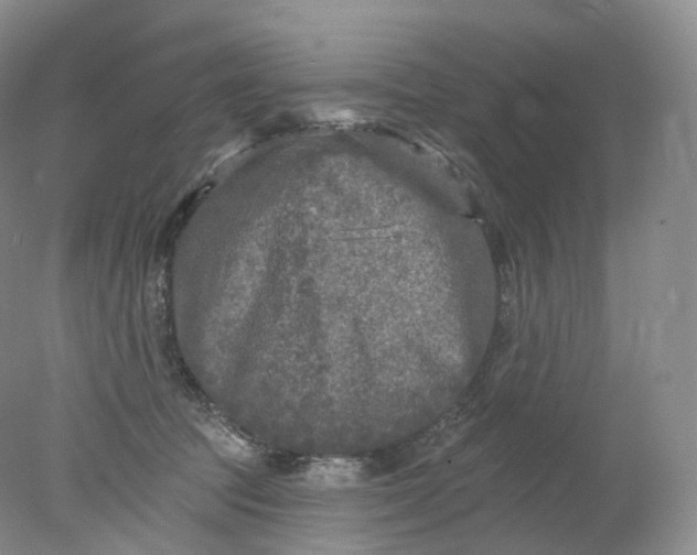 X0000078310369200611172221