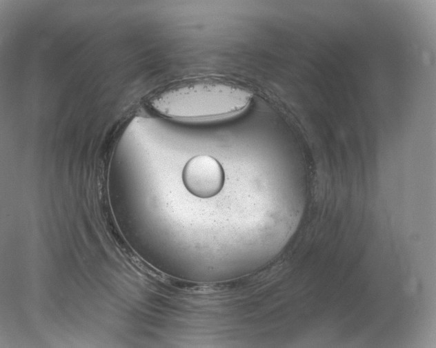 X0000078310370200611172221