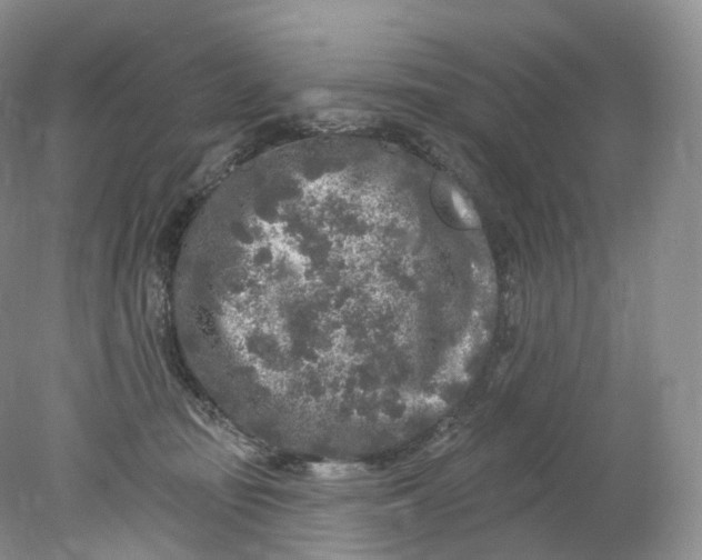 X0000078310371200611172221