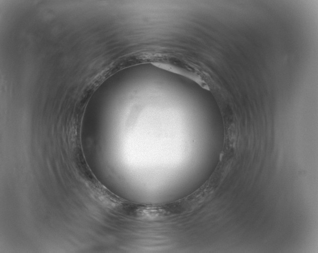 X0000078310372200611172221