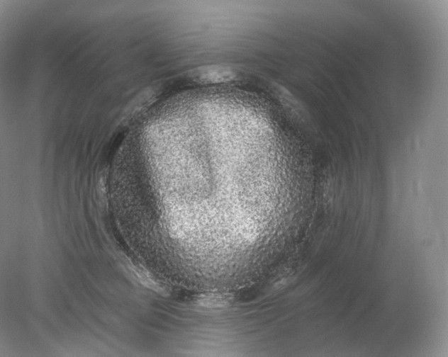 X0000078310373200611172221