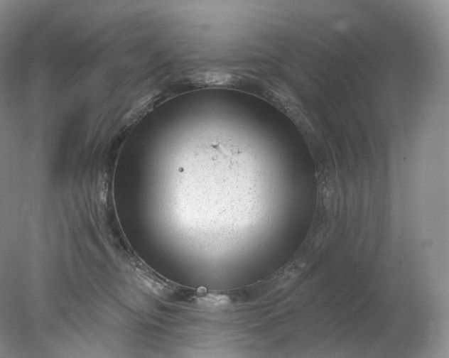 X0000078310374200611172221