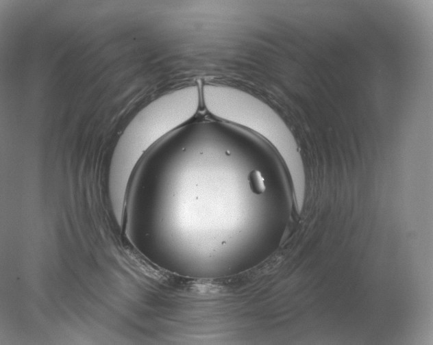 X0000078310376200611172221