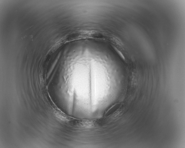 X0000078310377200611172221