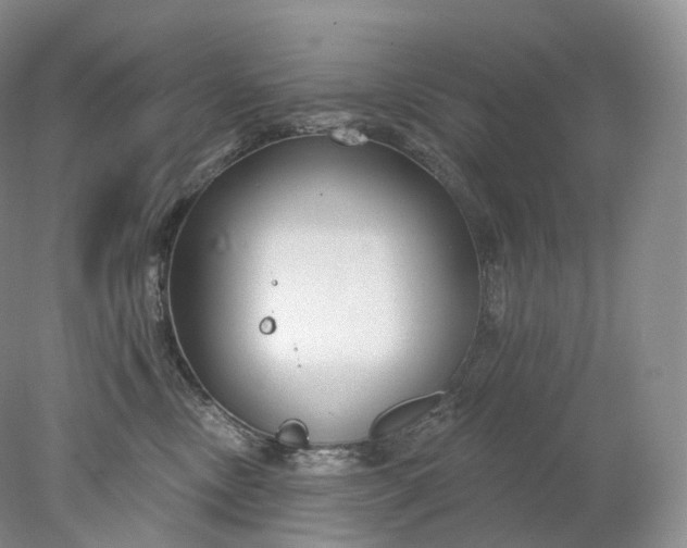 X0000078310378200611172221